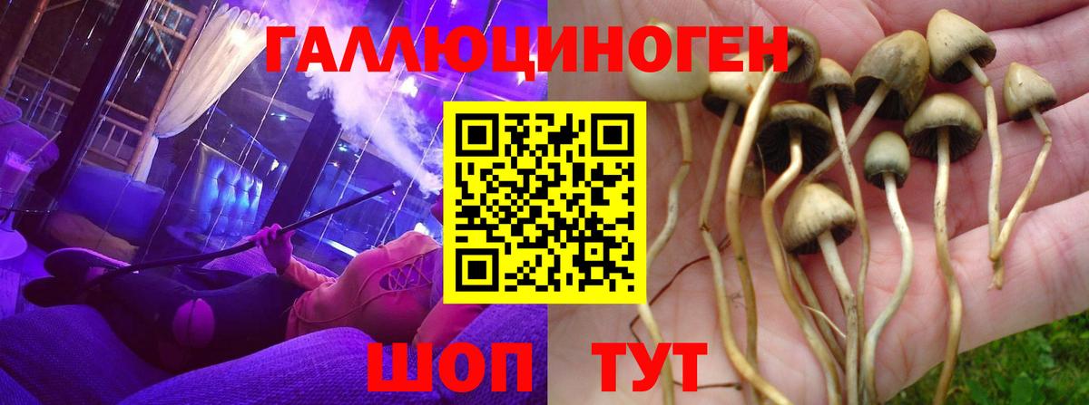 Галлюциногенные грибы ЛСД Нижнекамск