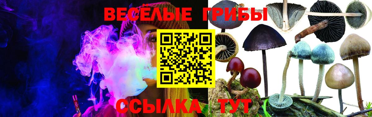 Галлюциногенные грибы мухоморы  Вход с VPN  Нижнекамск  Псилоцибиновые грибы Magic Shrooms 